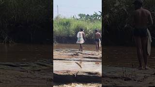 ఎం ఎగిరింది మమా 😮 snakeheadfish fishing amazingfishing realfish hunting fish [upl. by Ruomyes]