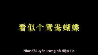 Tân Uyên Ương Hồ Điệp Mộng  Phí Ngọc Thanh 新鸳鸯蝴蝶梦  费玉清 [upl. by Enilegna]