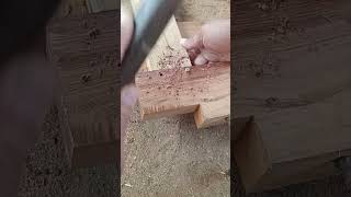 nailed shorts fyp virals carpenter wood [upl. by Noyar]