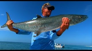 King Mackerel Fishing in Boca Grande Pass Florida [upl. by Hephzibah]