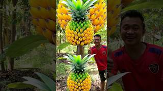 Survival Skills grafting Pineapple Fruit Banana fruit survival fruit banana Pineapple shorts [upl. by Remy441]