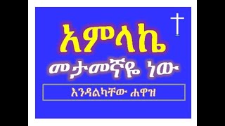 Amlake Metamegnaye New አምላኬ መታመኛዬ ነው Endalkachew Hawaz እንዳልካቸው ሐዋዝ [upl. by Maidie]