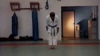 5 Pinan Godan Wado Ryu [upl. by Marka]