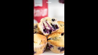 Blaubeermuffins  OHNE ZUCKER  Muffin Rezept mit Xucker [upl. by Ittocs595]