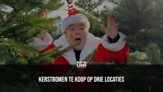 KERSTBOMEN TE KOOP OP DRIE LOCATIES [upl. by Eidnac]