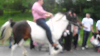 ApPlEbY horse fair 2011 [upl. by Ot]