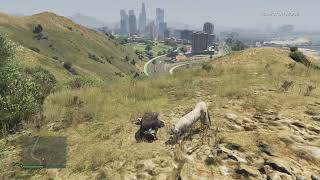 GTA V marabunta grande gets eaten by a cougar [upl. by Twedy343]