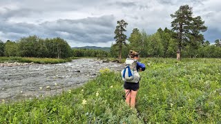 Kungsleden D05 Dellikälven Áhájávrrie Bárasjuhka Iraft AdolfStröm 134  166 km [upl. by Nnarefinnej48]