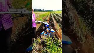 automobile agronomics agriculture agrimachines farming chainsawmachin cropproduction [upl. by Lirba731]