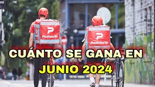 CUANTO SE GANA EN PEDIDOS YA JUNIO 2024 EN BICICLETARESPONDO PREGUNTAS pedidosya argentina [upl. by Eannaj935]