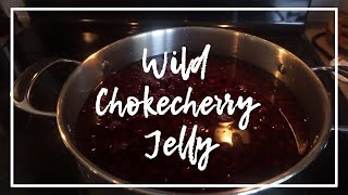 Wild Chokecherry Jelly [upl. by Einiar]