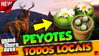 Localização de todos os Peyotes do GTA 5  Atualizado [upl. by Adihahs]