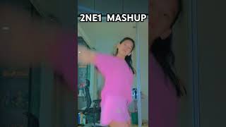 Name 2ne1 mashup [upl. by Ativad]