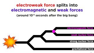 Quantum Gravity and Gravitons The Search for a Theory of Everything [upl. by Nosned871]