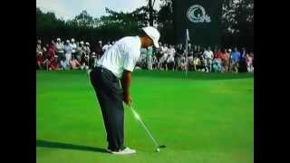 Tiger Woods  Chip Shot  Chipping [upl. by Lowery355]