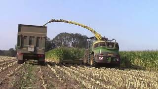 Large muck spreaders maize cutting with substantial John Deere forest harvesters and more [upl. by Einahpad]