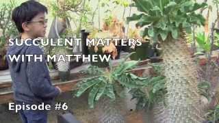 Matthew Visits Rare Succulents Nursery Part 2 of 3 [upl. by Berrie865]