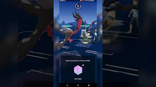 Pokemon GO  No Shield Flex to start Master League week [upl. by Atillertse222]