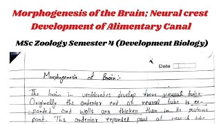 Morphogenesis of Brain  Development of gastrointestinal Tract development [upl. by Cheryl356]