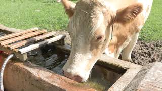 Biomilch schützt Münchner Trinkwasser [upl. by Auhsej]