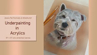 Painting with Acrylics  How to paint an Acrylic underpainting  Westie Acrylic Painting [upl. by Nahallac336]