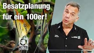 JBL TV 58 Welche Fische und Pflanzen passen in ein 100 cm Aquarium [upl. by Audrey]