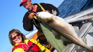 Cod fishing and filleting with Frank in Newfoundland food fishery [upl. by Larrad]