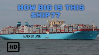 A tour on Maersk Triple E  Maribo Mærsk [upl. by Iasi]