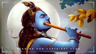 Krishna Background Music  Vagmine  No Copyright Song  NCS Hindi [upl. by Umberto]