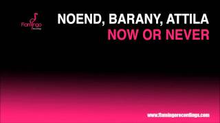 Noend Barany Attila  Now or Never Flamingo Recordings [upl. by Hach]