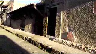 Samnite House at Herculaneum down to the House in Opus Craticium [upl. by Aimas841]