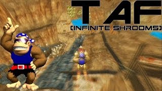 MKWii  TAF Zelda TP Kakariko Village Freerun infinite shrooms [upl. by Adila]