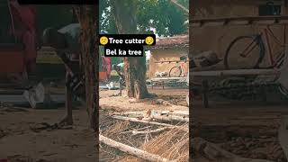 😔Chandan tree😔 please tree cutting mat karo 😔yar😔😔😔😔emotional nature worldgreenworldsuraj51 [upl. by Yenittirb301]