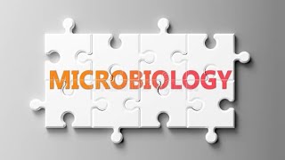 NocardiaMicrobiology PathologyMBBS [upl. by White441]