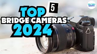 ✅Top 5 Bridge Cameras 2024 ✅ Watch This Before You Buy [upl. by Eindys]