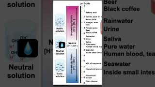 PH Scale 101 Acids vs Bases do you know the pH of Blood 🩸 phscale acid base chemistry [upl. by Hannan]