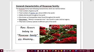 General Characteristic Of Rosaceae Family Plants [upl. by Nahor]