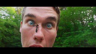 Just Joshing  Friends With a Wasp Official Music Video [upl. by Anah]