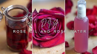 how to make ROSE INFUSED OIL amp ROSE WATER  DIY [upl. by Enej]