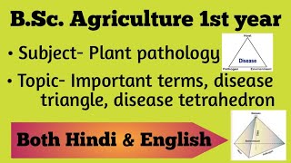 Important terms Disease triangle Disease tetrahedron  Plant pathology  BSc Ag 1st year [upl. by Odysseus358]