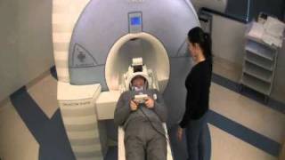 Introduction to fMRI [upl. by Adilem]