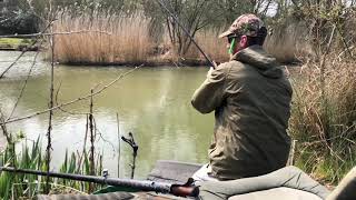 Just out of view trip 106  a beautiful ghost carp a tench goldfish and bream from a club pond [upl. by Pearl115]