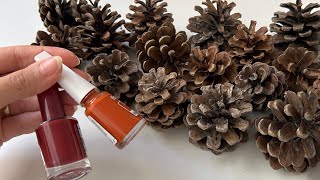 Look What I Did With Nail Polish and Pine Cones [upl. by Homerus]