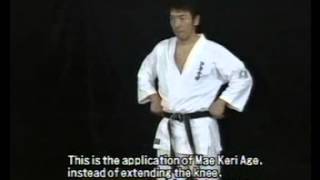 Basic Kyokushin techniques  USHIRO MAWASHI GERI  Spinning Hook Kick [upl. by Tala]