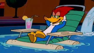 Woodys Weird Vacation  1 Hour of Woody Woodpecker Full Episodes [upl. by Rowena156]