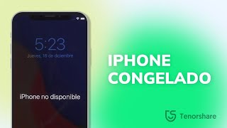 Cómo solucionar iPhone congelado｜iPhone ingrese contraseña varias veces [upl. by Aba386]