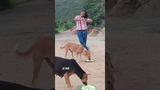 ❤️25JULY❤️🐕UNST🚫PPABLE L🤍VE STORY🐕❤️PT02❤️dogcatlovemotivationbeautifulytshortsviralvideo [upl. by Pylle]