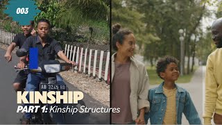 Kinship  Part 1 Kinship Structures [upl. by Latoye754]