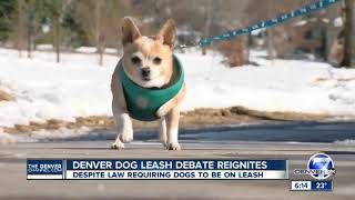 Denver dog leash debate reignites despite law requiring dogs to be on leash [upl. by Tacita]