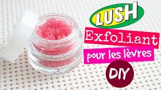 DIY EXFOLIANT POUR LES LEVRES LUSH  LA FEE DES LEVRES [upl. by Ane37]